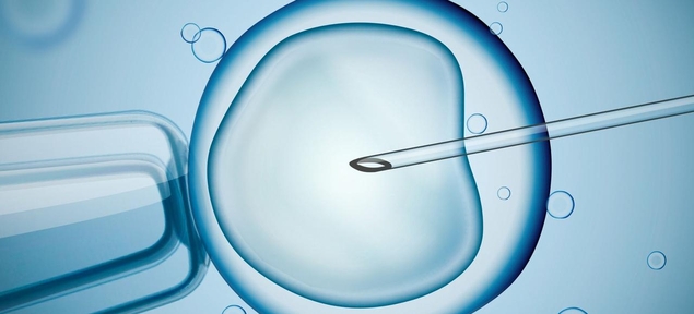 Un scientifique chinois annonce avoir fait naître les premiers bébés OGM