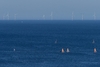 « C’est une horreur ! » : beaucoup plus visible que prévu, le premier parc éolien offshore de France ulcère riverains et touristes