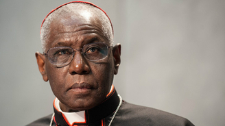 Cardinal Sarah : intervention brillante 