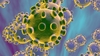 Le coronavirus, peste noire pour le mondialisme