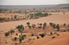 Qu’est-ce que la Cédéao, qui menace d’intervenir au Niger ?