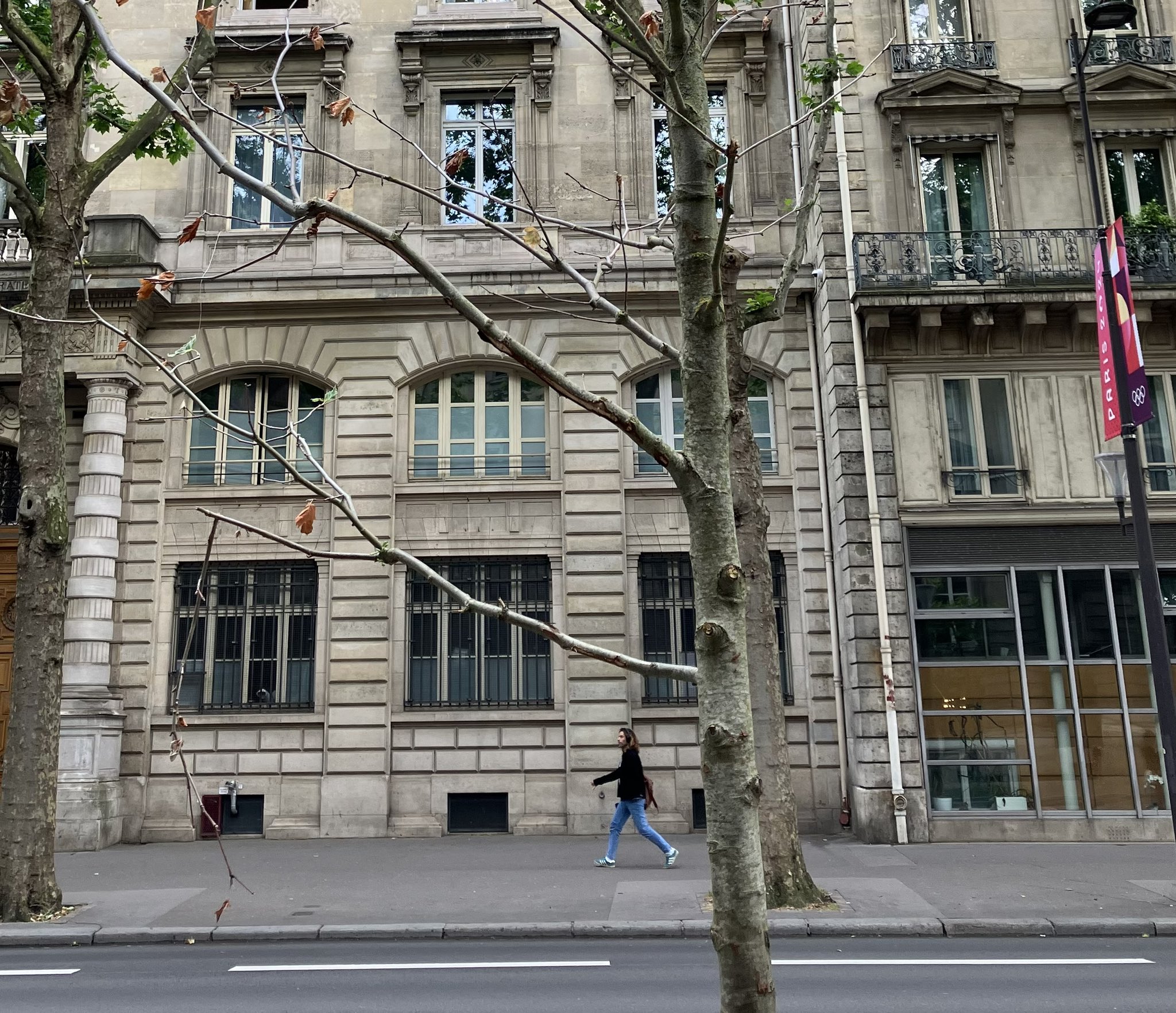 Canicule : plantons des arbres… mais pas n’importe comment