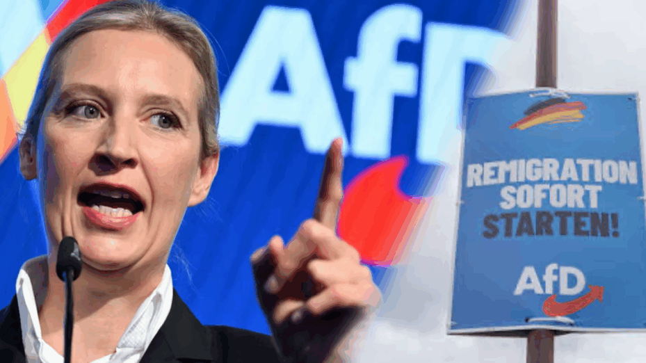 Allemagne : l’AfD pulvérise les records dans les sondages et aux élections locales